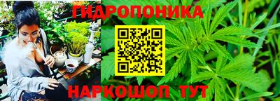мяу мяу мука Обнинск
