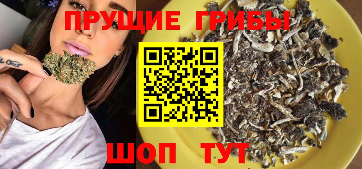 Псилоцибиновые грибы Magic Shrooms Славянск-на-Кубани