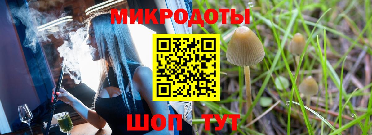 Славянск-на-Кубани  Псилоцибиновые грибы Cubensis  Вход с VPN 