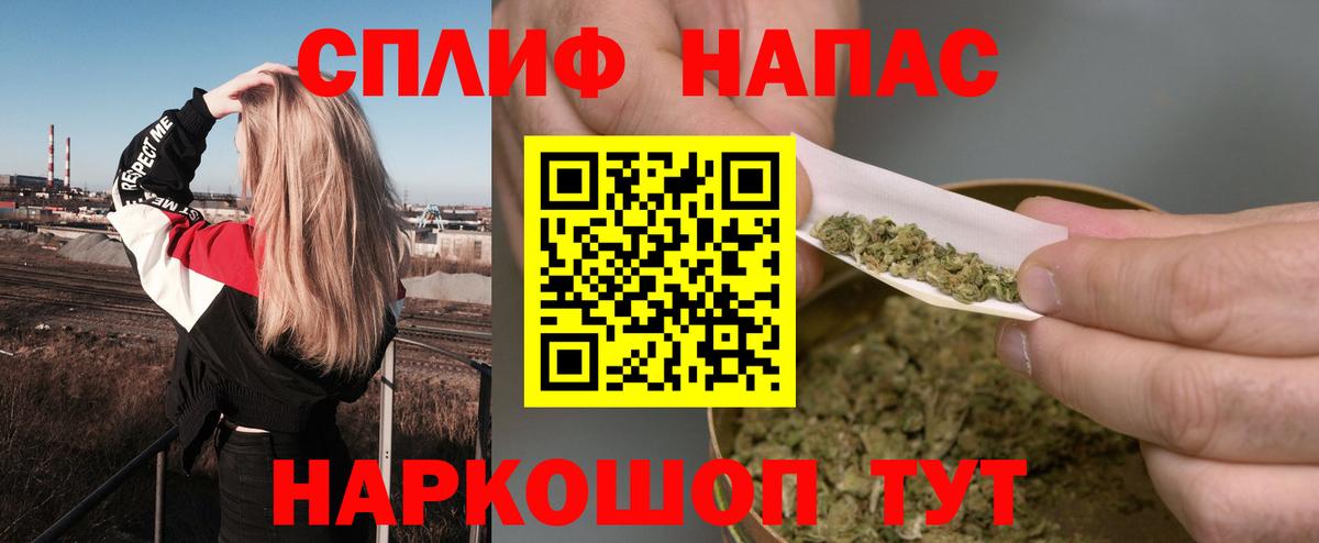 Конопля семена Славянск-на-Кубани